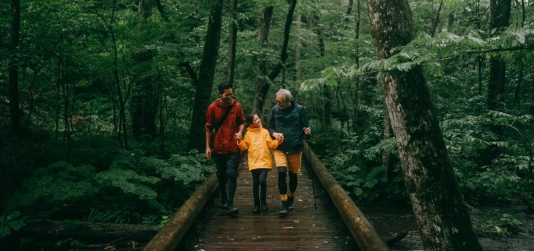 Image of an older man, younger man, and young girl walking on a bridge through a forest (not real patients)
